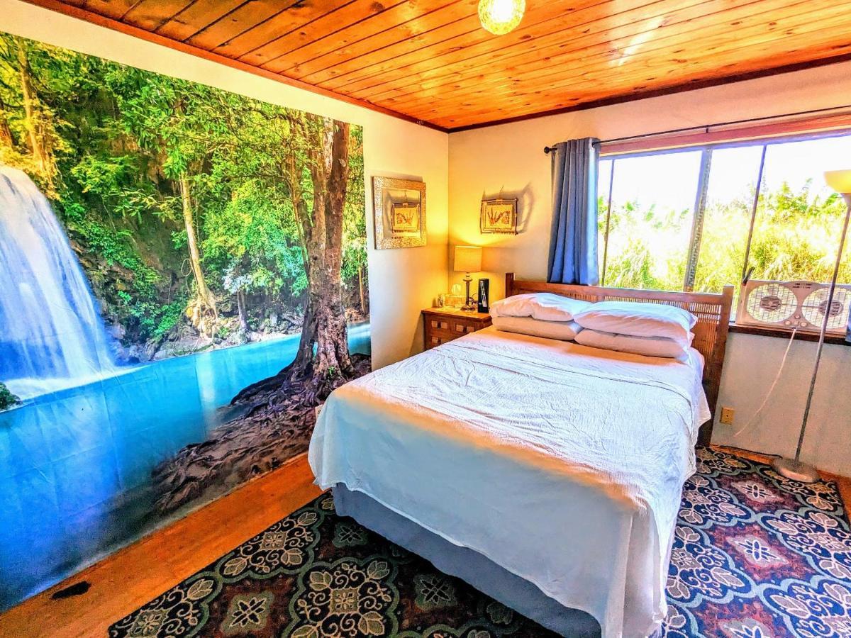 Pepeekeo Hamakua Guesthouse מראה חיצוני תמונה